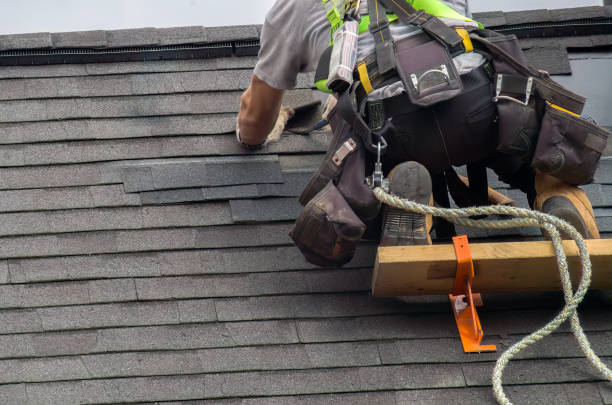 Asphalt Shingles Roofing in Venetian Village, IL