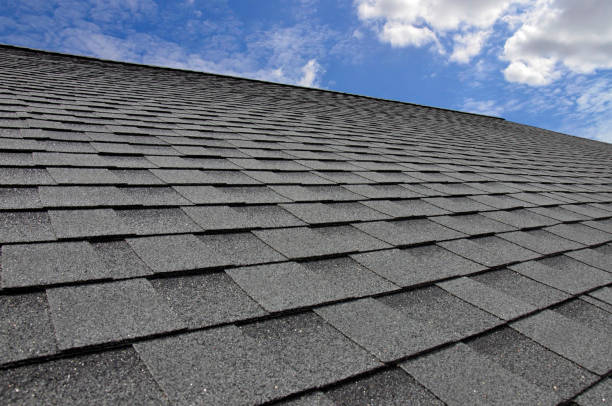 Best Roof Ventilation Installation  in Venetian Vlage, IL